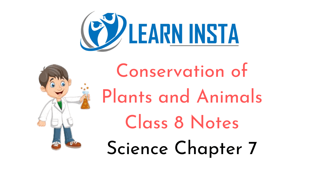 Conservation of Plants and Animals Class 8 Notes