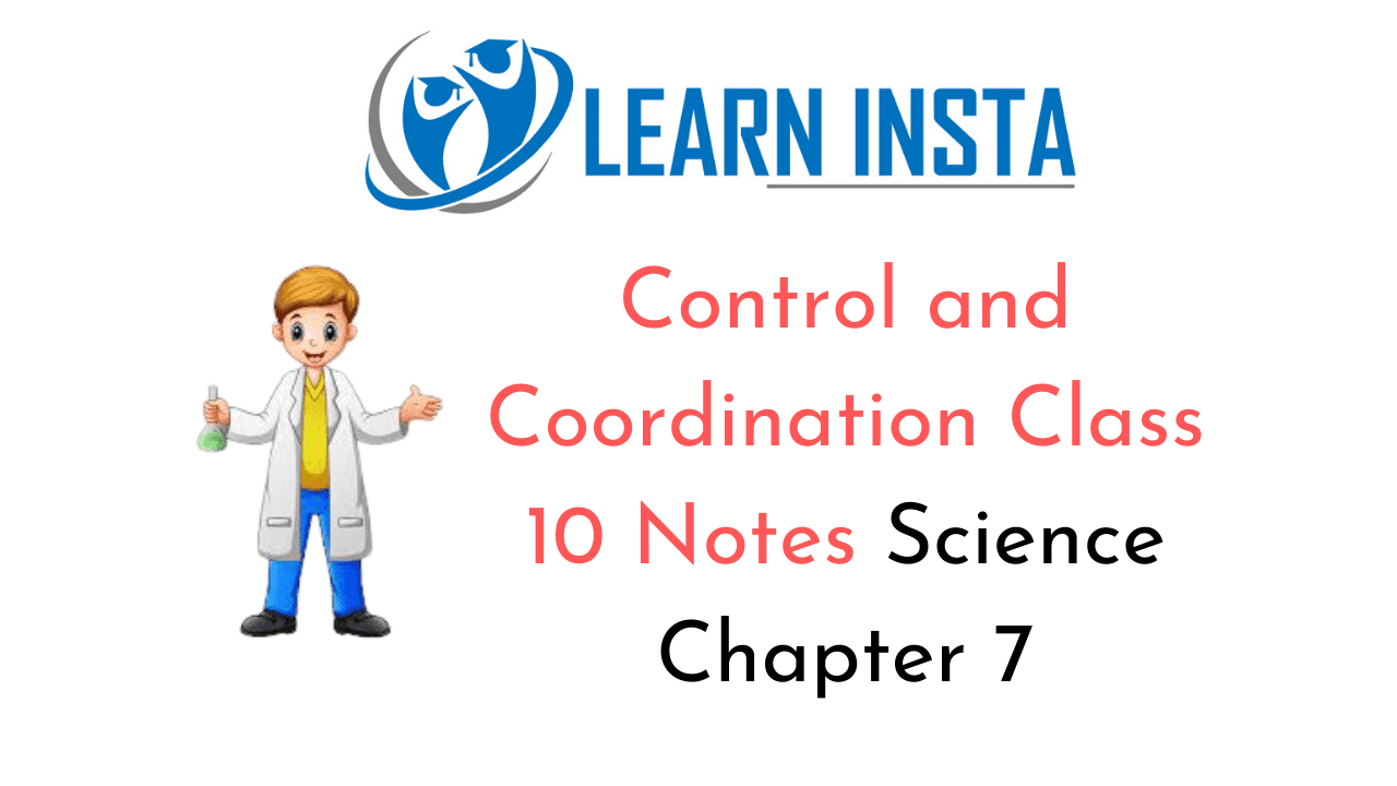 Control and Coordination Class 10 Notes