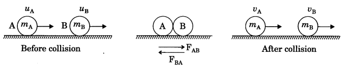 Force and Laws of Motion Class 9 Notes Science Chapter 9 2