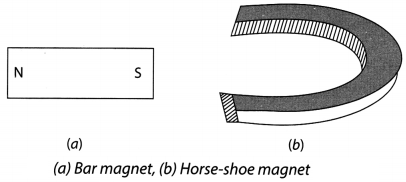 Fun with Magnets Class 6 Extra Questions and Answers Science Chapter 13 1