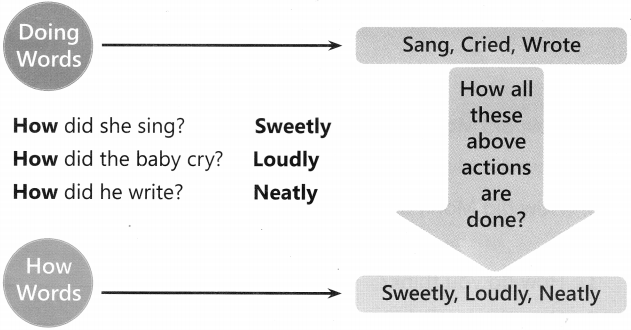 How Words Worksheet Exercises for Class 2 Examples with Answers CBSE 3