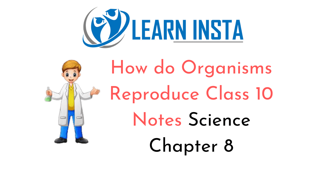 How do Organisms Reproduce Class 10 Notes Science Chapter 8