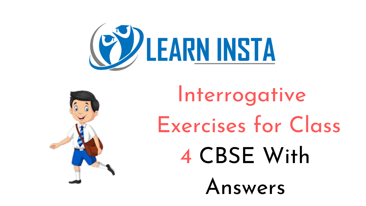 Interrogative Exercise for Class 4 CBSE with Answers