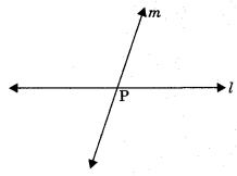 Introduction to Euclid’s Geometry Class 9 Notes Maths Chapter 3