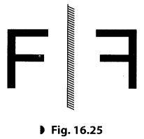 Light Class 8 Extra Questions and Answers Science Chapter 16 2