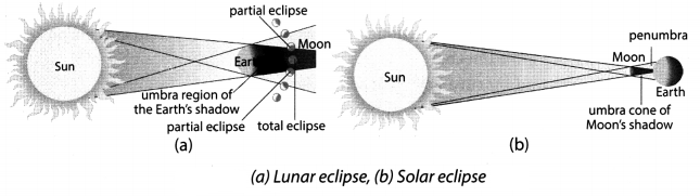 Light Shadows and Reflection Class 6 Extra Questions and Answers Science Chapter 11 2