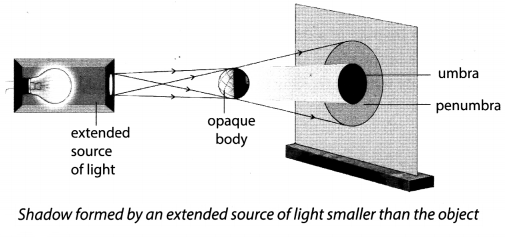 Light Shadows and Reflection Class 6 Extra Questions and Answers Science Chapter 11 3