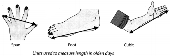 Motion and Measurement of Distances Class 6 Notes Science Chapter 10