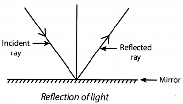 Light Shadows and Reflection Class 6 Notes Science Chapter 11 3