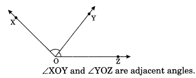 Lines and Angles Class 7 Notes Maths Chapter 5. 10