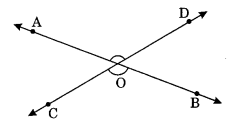 Lines and Angles Class 7 Notes Maths Chapter 5. 14