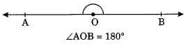 Lines and Angles Class 7 Notes Maths Chapter 5. 8