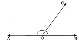 Lines and Angles Class 9 Notes Maths Chapter 4.16