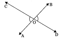 Lines and Angles Class 9 Notes Maths Chapter 4.17