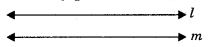 Lines and Angles Class 9 Notes Maths Chapter 4.19