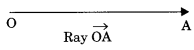 Lines and Angles Class 9 Notes Maths Chapter 4.3