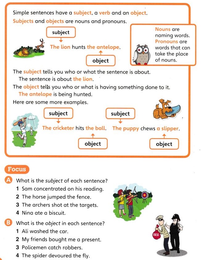 Make Sentences For Class 3 With Answers