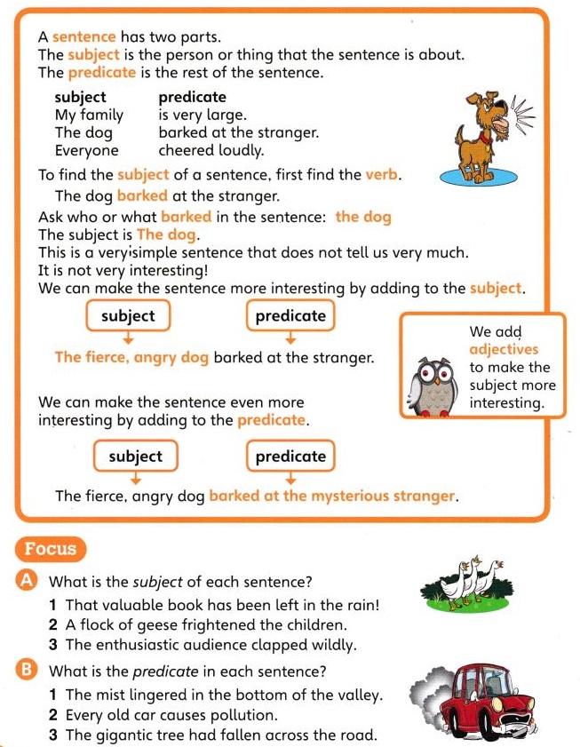 Words Sentences For Class 4