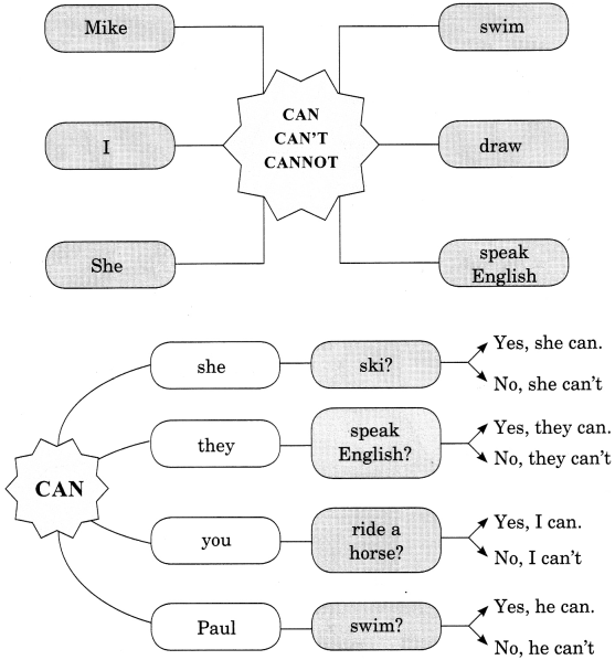 Modals Exercises for Class 7 With Answers Pdf