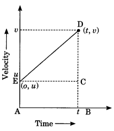 Motion Class 9 Notes Science Chapter 8 3