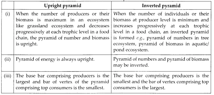 NCERT Solutions for Class 12 Biology Chapter 14 Ecosystem 6.2