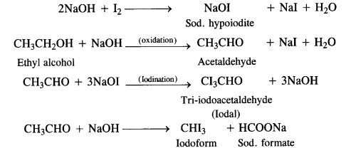 NCERT Solutions for Class 12 Chemistry Chapter 11 Alcohols, Phenols and Ehers tq 43