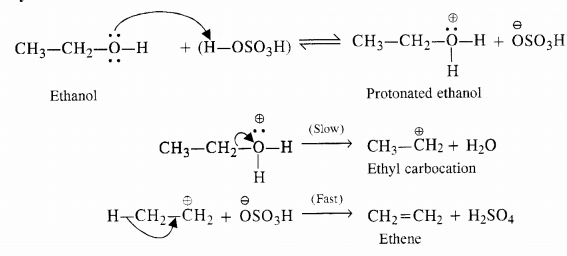 NCERT Solutions for Class 12 Chemistry Chapter 12 Aldehydes, Ketones and Carboxylic Acids t58