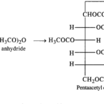 NCERT Solutions for Class 12 Chemistry Chapter 14 Biomolecules 1