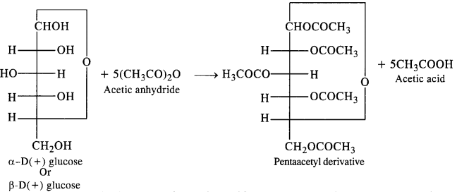 NCERT Solutions for Class 12 Chemistry Chapter 14 Biomolecules 1