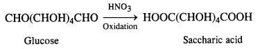 NCERT Solutions for Class 12 Chemistry Chapter 14 Biomolecules 3