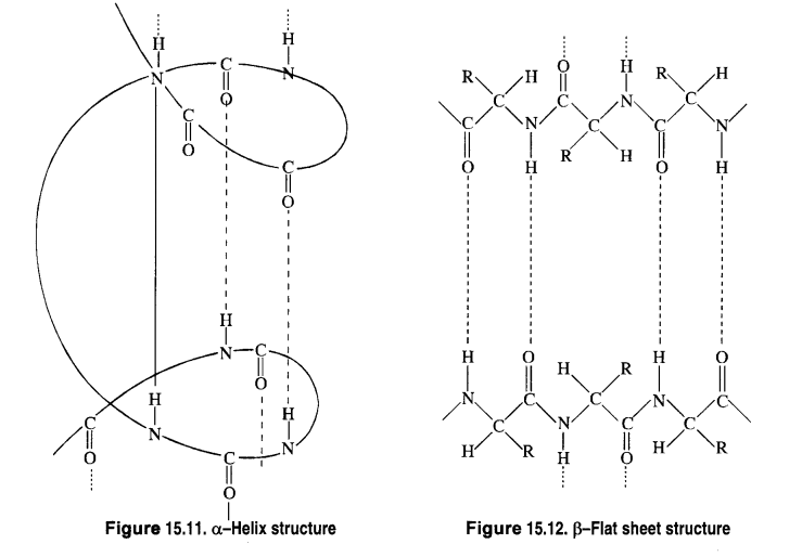 NCERT Solutions for Class 12 Chemistry Chapter 14 Biomolecules 4