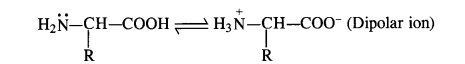 NCERT Solutions for Class 12 Chemistry Chapter 14 Biomolecules 5