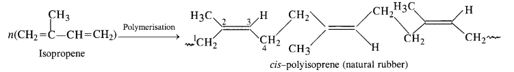 NCERT Solutions for Class 12 Chemistry Chapter 15 Polymers 10