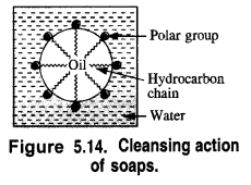 NCERT Solutions for Class 12 Chemistry Chapter 16 Chemistry in Every Day Life t14
