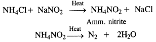 NCERT Solutions for Class 12 Chemistry Chapter 7 The p-Block Elements 20