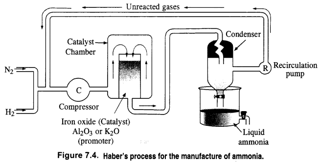 NCERT Solutions for Class 12 Chemistry Chapter 7 The p-Block Elements 21