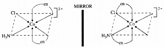 NCERT Solutions for Class 12 Chemistry Chapter 9 Coordination Compounds 19