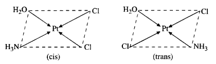 NCERT Solutions for Class 12 Chemistry Chapter 9 Coordination Compounds 3