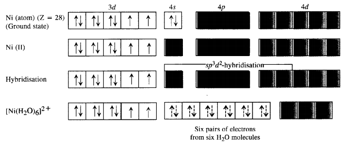 NCERT Solutions for Class 12 Chemistry Chapter 9 Coordination Compounds 31