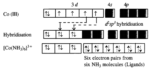 NCERT Solutions for Class 12 Chemistry Chapter 9 Coordination Compounds 8