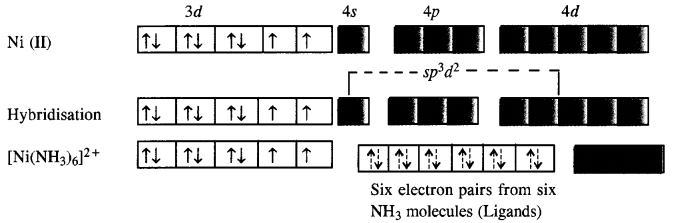 NCERT Solutions for Class 12 Chemistry Chapter 9 Coordination Compounds 9