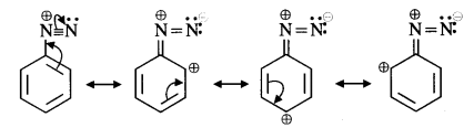 NCERT Solutions for Class 12 Chemistry T21