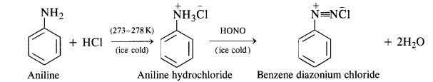 NCERT Solutions for Class 12 Chemistry T33