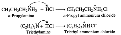 NCERT Solutions for Class 12 Chemistry T6