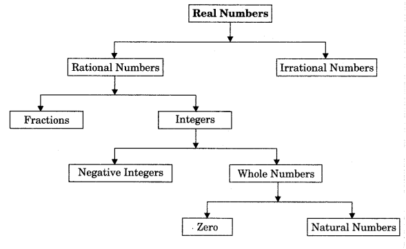 Number Systems Class 9 Notes Maths Chapter 3