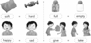 Opposite Words Worksheet Exercises for Class 2 Examples with Answers CBSE