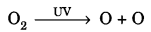 Our Environment Class 10 Extra Questions with Answers Science Chapter 15, 2