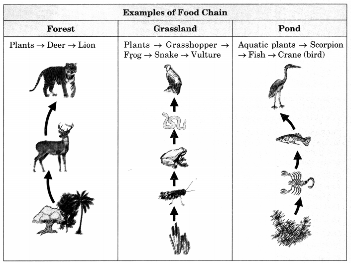 Our Environment Class 10 Notes Science Chapter 15 1