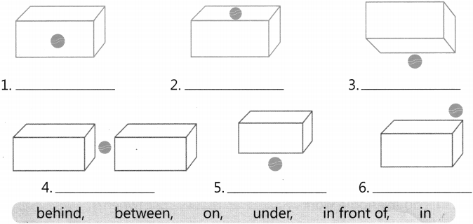 Preposition Exercises for Class 3 CBSE With Answers 1