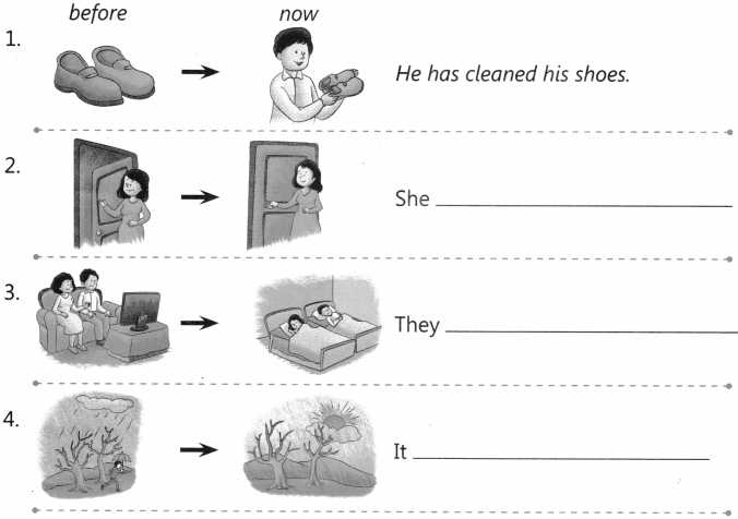 present-perfect-tense-exercises-for-class-4-cbse-with-answers